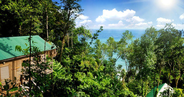 Jungle Bay, Dominica