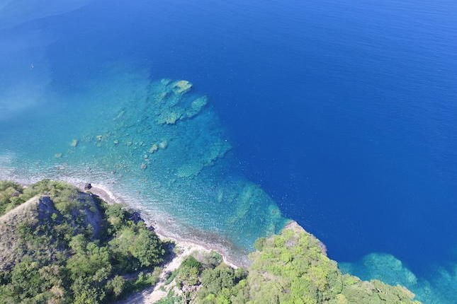 Jungle Bay, Dominica